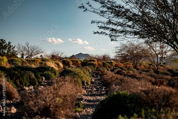 Fototapeta Scenic natural landscape with dry shrubs and trees under a clear sky, featuring a rocky path and distant mountain peak in a serene outdoor setting