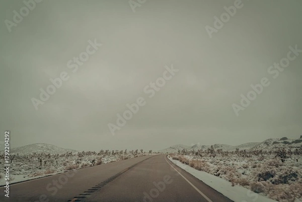 Fototapeta Empty desert highway stretching into the foggy distance with barren landscape and muted tones under overcast sky