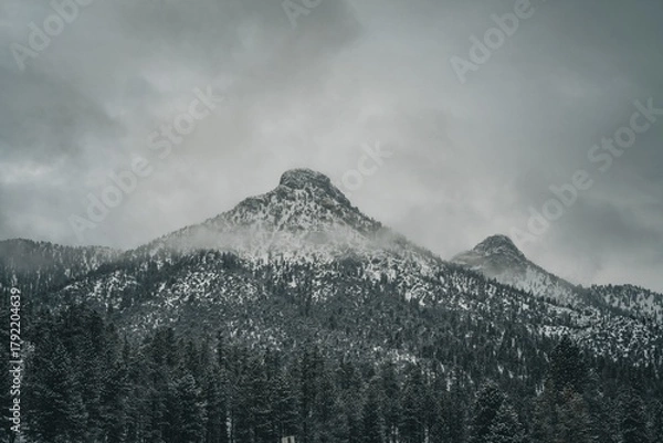Fototapeta Snow-covered mountain peak surrounded by dense forest under a cloudy winter sky creating a moody natural landscape