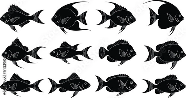 Obraz Twelve Stylized Fish Silhouettes in Grid Formation for Marine Biology, Pattern Recognition, Educational Games, and Visual Discrimination Exercises