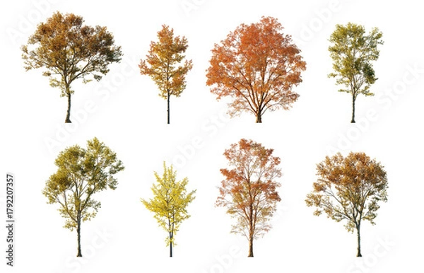 Fototapeta Autumn tree collection cutout set isolated png on a transparent background premium nature cut out