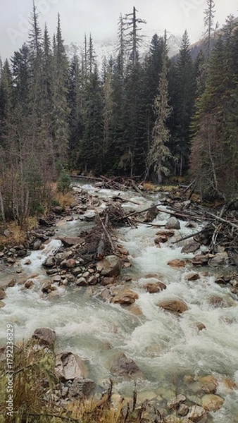 Obraz stream in the forest