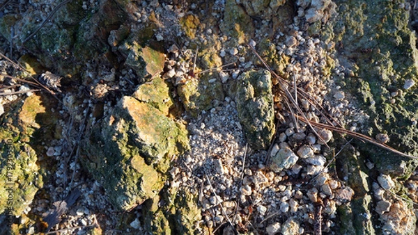 Fototapeta Natural ground surface with scattered rocks and gravel showcasing earthy textures