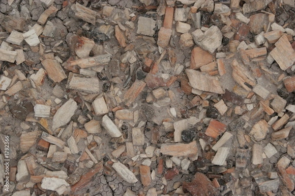 Fototapeta petrified wood chips