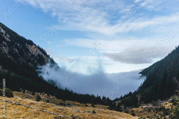 Fototapeta low clouds approaching foggy morning in Carpathians autumn landscape with forest woods and blue sky above 