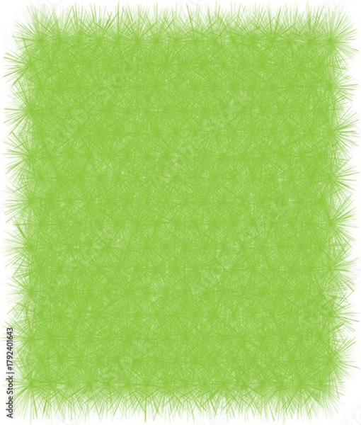 Fototapeta green grass isolated on white vector.