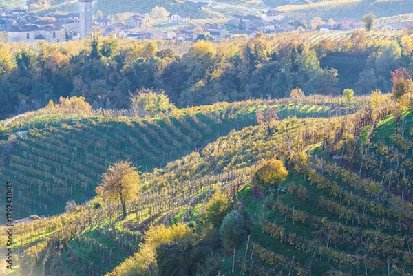 Obraz Prosecco Hills