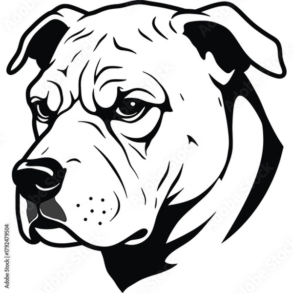 Fototapeta Dog head illustration in black and white animal pet mammal canine portrait face drawing vector domestic breed