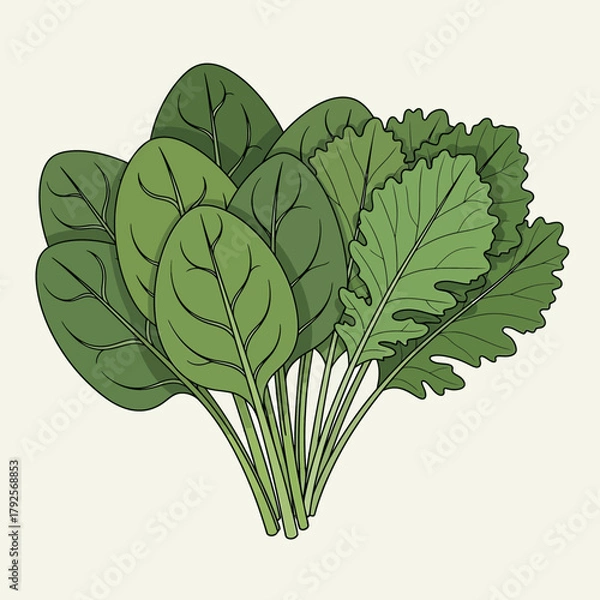 Obraz Illustration of Spinach and Kale Verdant Harmony: A Study in Green Textures