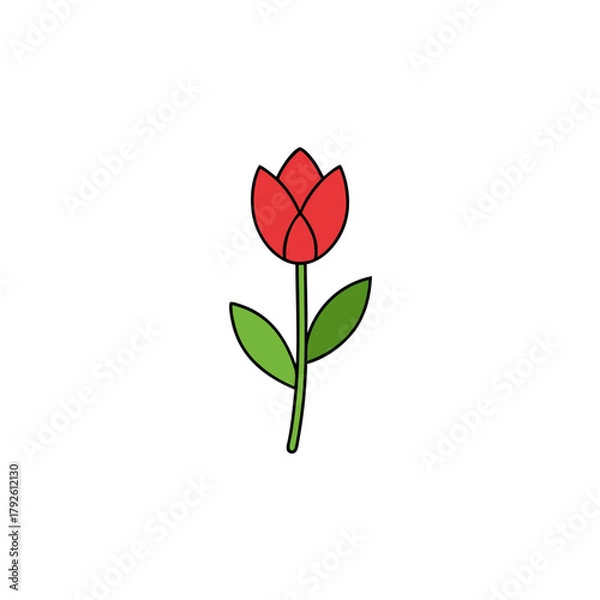 Fototapeta Red tulip with green stem on transparent background