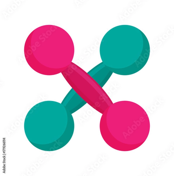 Fototapeta A pair of dumbbells, vector illustration in flat design