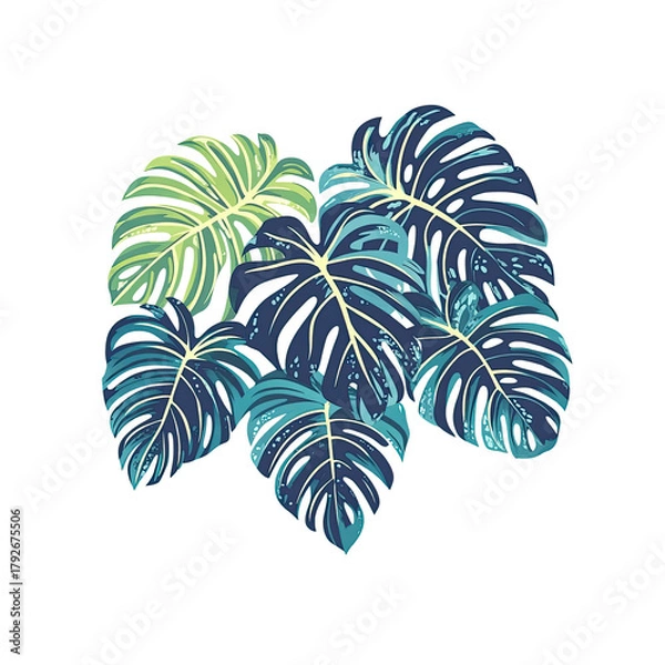 Obraz Monstera leaves on Transparent Background