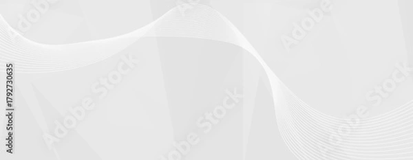 Fototapeta White waves flowing lines subtle geometric abstract background minimal