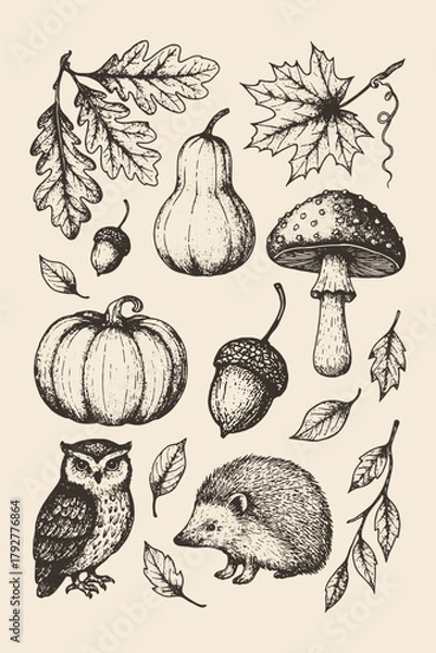 Obraz Charming hand-drawn collection of forest animals, mushrooms, and leaves in vintage sketch style. Ideal for nature prints and educational art.