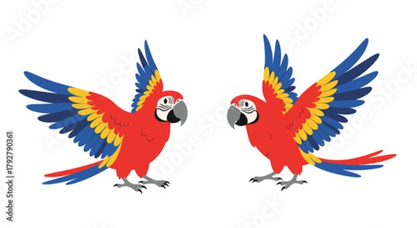 Obraz Two colorful macaws with wings spread open in flight against a white background.