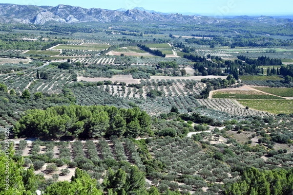 Obraz paysage de provence