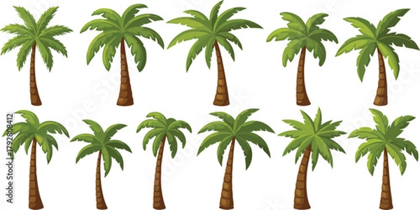 Fototapeta Collection of palm trees isolated on transparent background