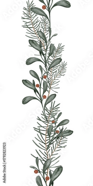 Fototapeta Vertical seamless border with hand drawn illustration of green branch of fir tree and holly with red berry. Frame for New year or Christmas design in muted tones