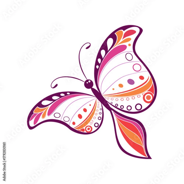 Fototapeta Colorful Butterfly Vector Illustration