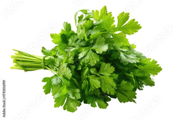 Obraz Fresh Parsley Bunch