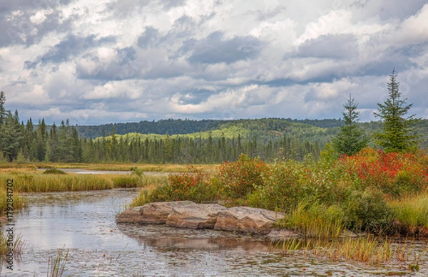 Fototapeta Early fall morning along Costello Creek in Algonquin Park, Canada