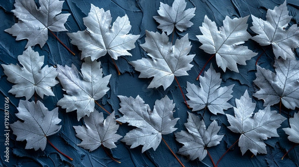 Obraz Silver maple leaves arranged on a textured dark blue surface.