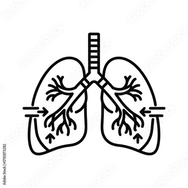 Obraz Stylized outline illustration of human lungs with airways and arrows indicating airflow, representing respiration and health