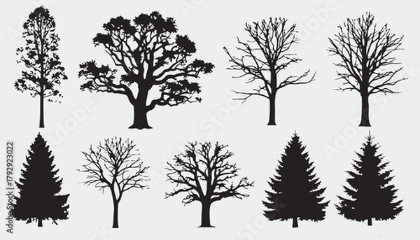 Fototapeta A collection of ten different tree silhouettes, including deciduous and coniferous varieties, displayed against a light gray background.
