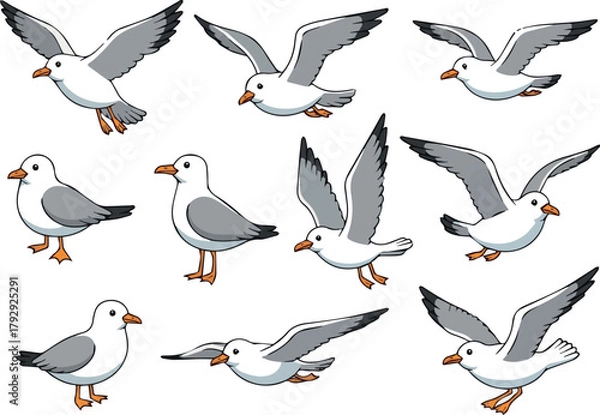 Fototapeta Create Seagulls. Flying sea bird in sky, seagull in various poses. Cartoon cute seabird flight. Vector on white background