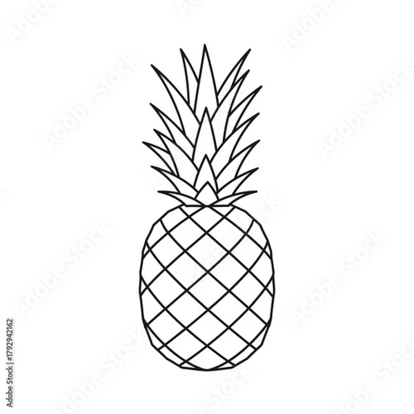 Obraz Pineapple Outline Vector Illustration