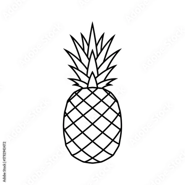 Fototapeta Pineapple Outline Vector Illustration