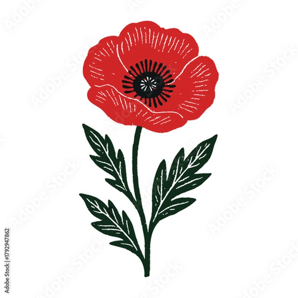 Fototapeta Red Poppy with Veined Leaves