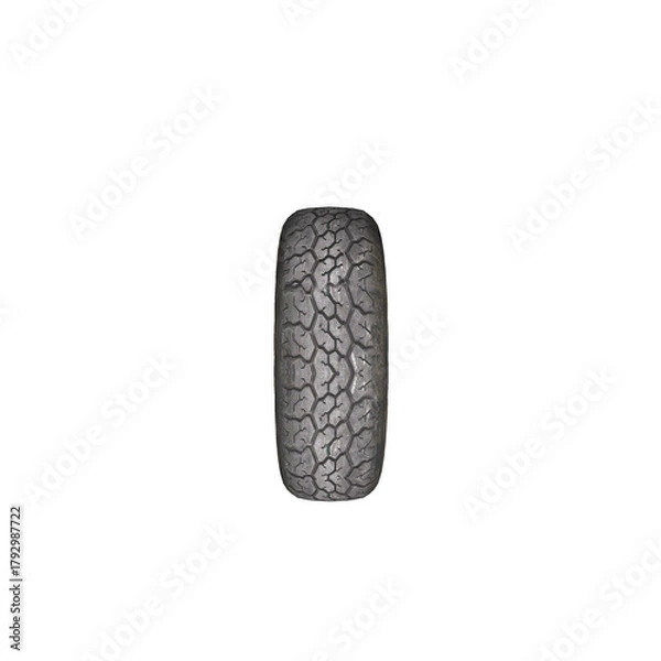 Obraz Tire