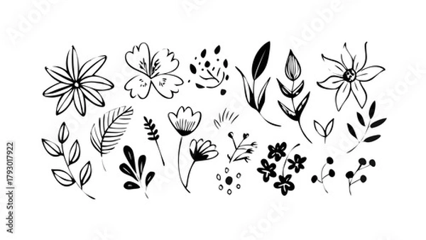 Obraz Many different faces, leaves, flowers, and shapes in an ink painting style. Simple, modern drawings made by hand. Lines are smooth and basic. All parts are separate. vector icon