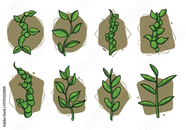 Fototapeta Collection of fresh green botanical illustrations showcasing diverse plant branches and leafy sprigs for organic designs