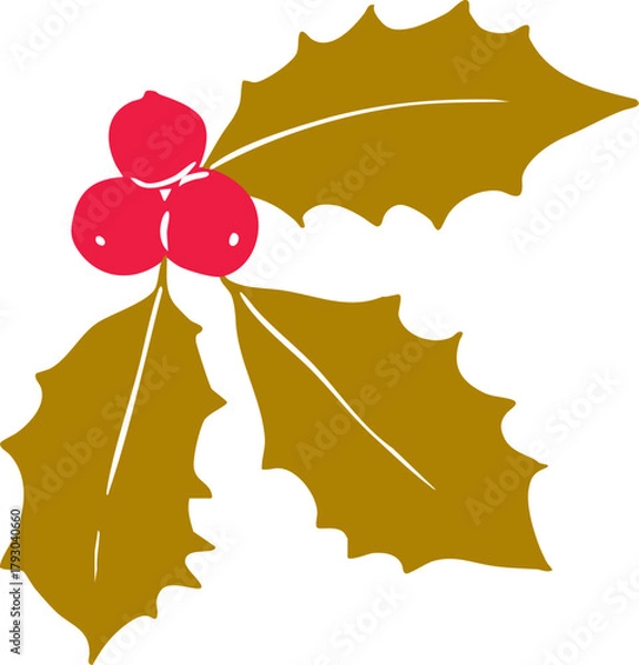 Obraz Minimalist holly leaves and berries line art illustration — elegant Christmas botanical element, simple Scandinavian winter graphic, modern outline vector for seasonal holiday design projects.