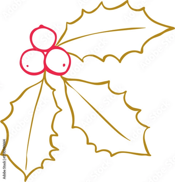 Obraz Minimalist holly leaves and berries line art illustration — elegant Christmas botanical element, simple Scandinavian winter graphic, modern outline vector for seasonal holiday design projects.