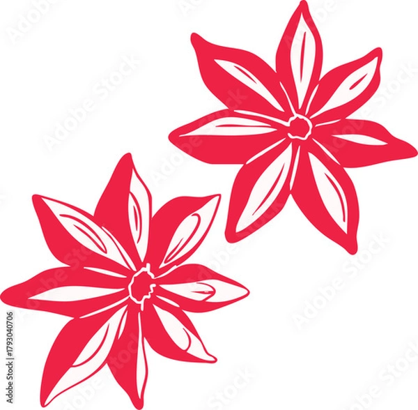 Obraz Minimalist star anise line art illustration — elegant winter spice element, simple Scandinavian holiday graphic, modern outline vector for seasonal and Christmas design projects.