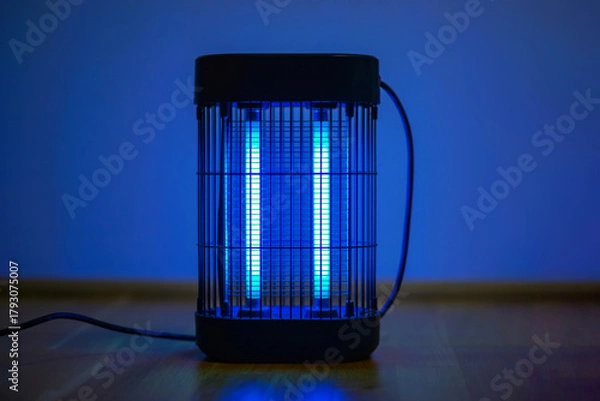 Fototapeta Electric insect killer lamp glowing in blue light