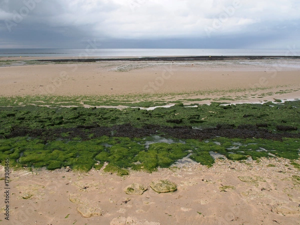 Obraz Plage de Normandie à marée basse
