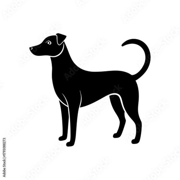 Obraz a dog standing tail wagging slightly vector art