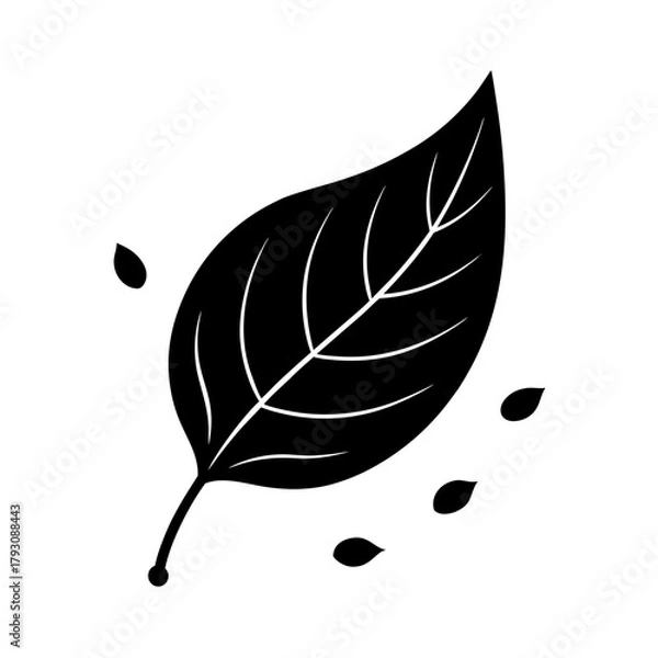 Obraz vector illustration of leaf
