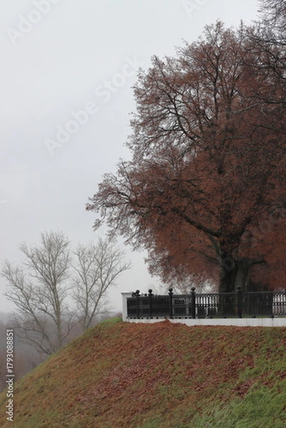 Fototapeta Linden trees on the Ryazan Kremlin embankment in autumn