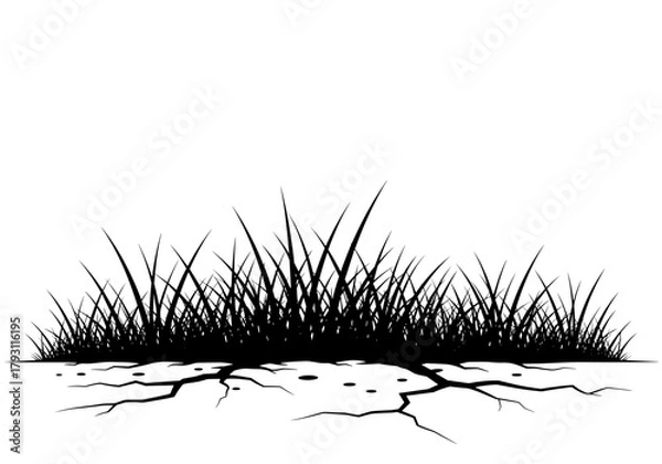 Fototapeta Grass growing through concrete on transparent background