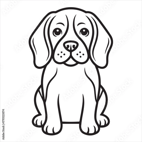 Fototapeta beagle dog isolated on white background