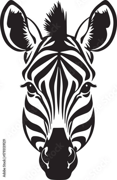 Fototapeta Zebra standing black and white wild zebra animal vector on white background
