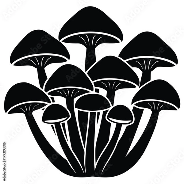 Obraz mushroom cluster on white