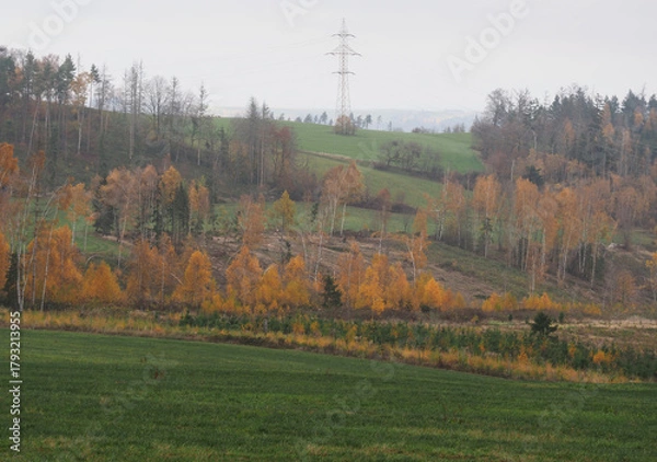 Obraz Abholzung und Aufforstung