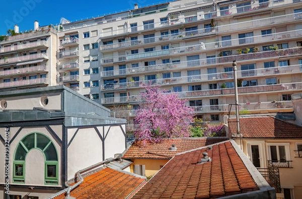 Obraz Parisian courtyard