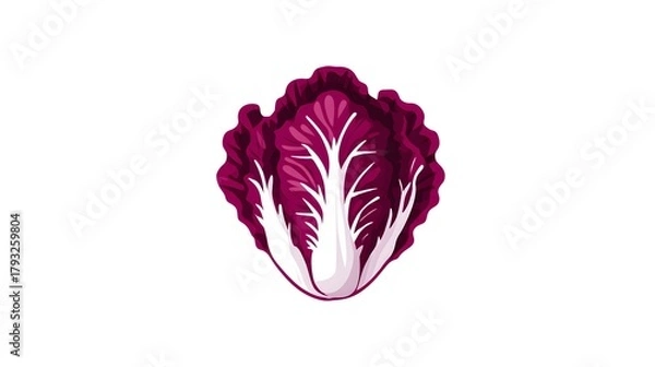 Fototapeta Minimal 2D Vector Illustration of Radicchio Icon in Flat Style on a Clean and Simple White Background Emphasizing Modern Digital Art and Clarity